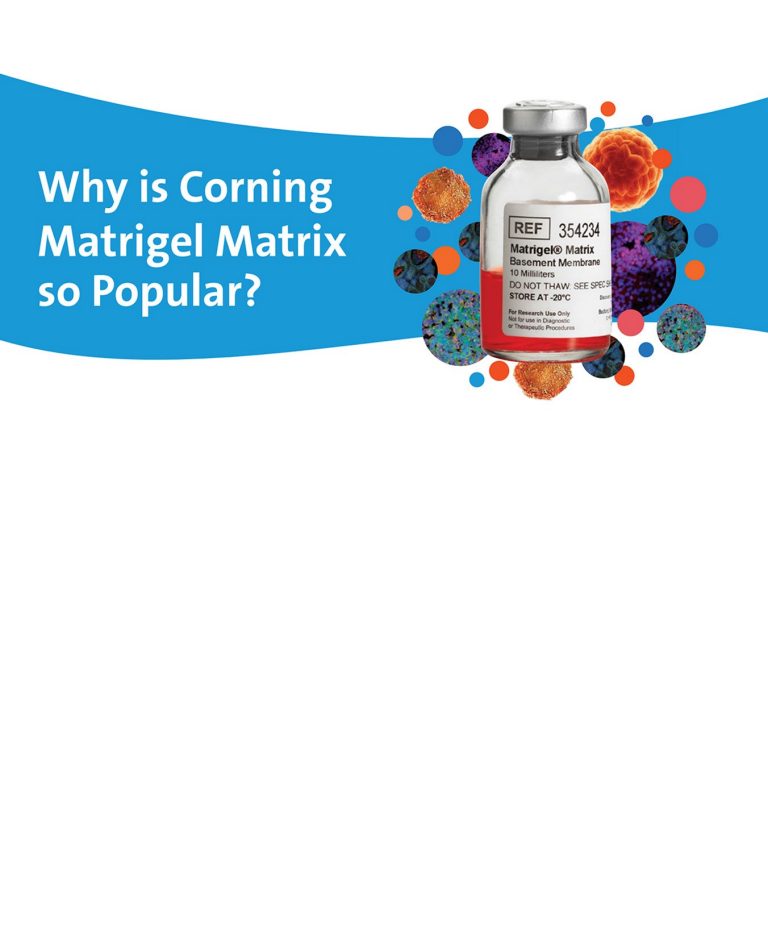 cls-why-is-corning-matrigel-matrix-so-popular-infographic-4b.jpg