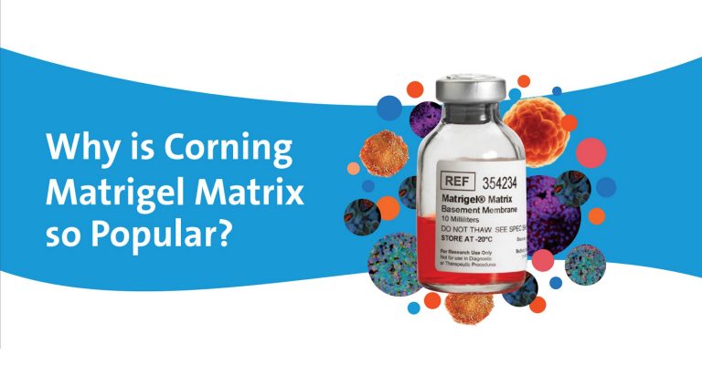 Infographic: Why is Corning Matrigel Matrix so Popular?