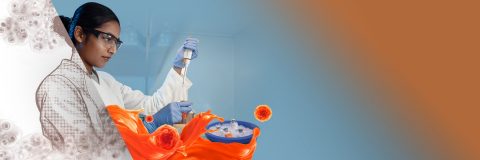 3D Cell Culture: Overcoming the Operational Barriers to NAMs-ready Research