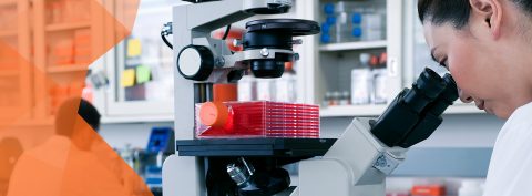 Lab banner