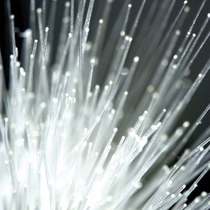 Bright white tips of bundle of lighted fiber