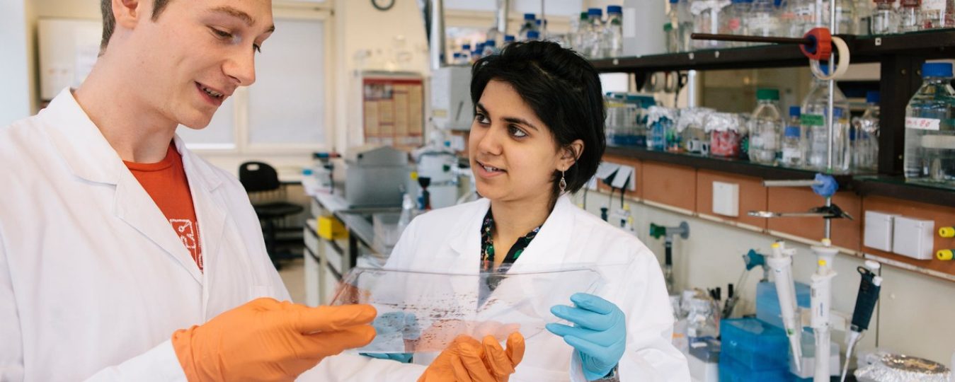 Work at Corning Career and Job Opportunities Corning