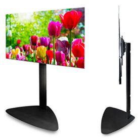 Front, profile views of super-slim television on pedestal stand