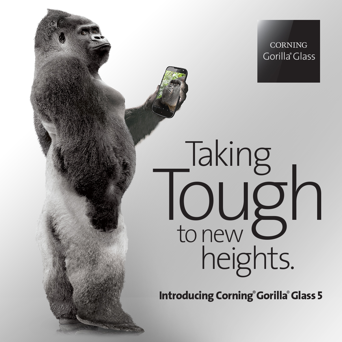 Gorilla glass 5 телефонов. стекло corning gorilla glass 5. Gorilla glass victus 2. горилла глас 5. стекло корнинг горилла гласс.