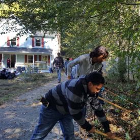 Corning employees clear overgrown brush in front of the homeowner's property.