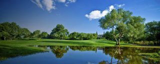 Looking across lake at pristine green meadow and trees