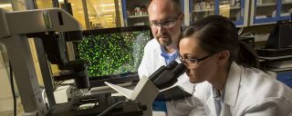 Женщина и мужчина в лабораторных халатах смотрят в микроскоп