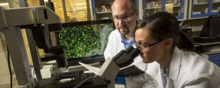 Mulher, homem em vestimenta de laboratório olhando no microscópio