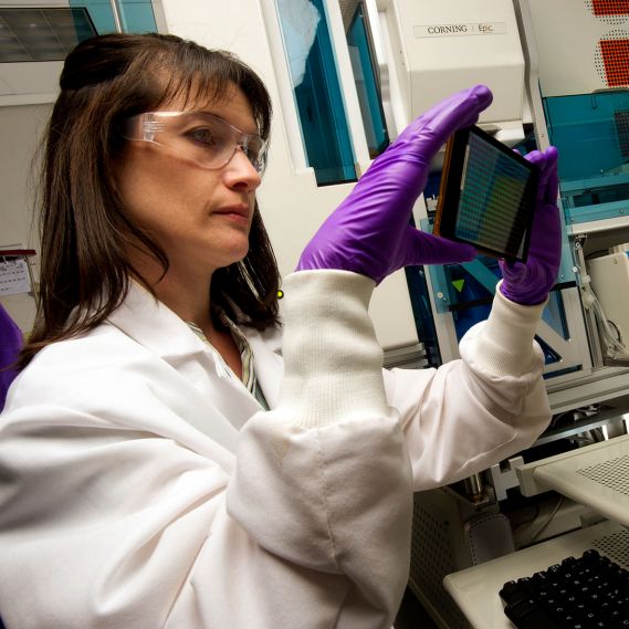 Work at Corning Career and Job Opportunities Corning