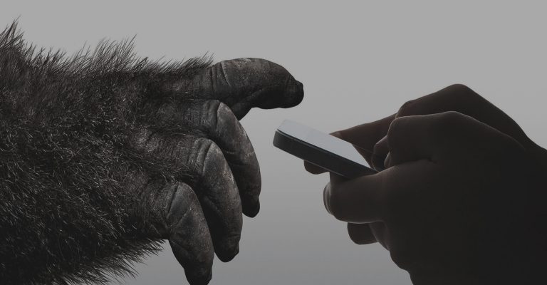 gorilla glass