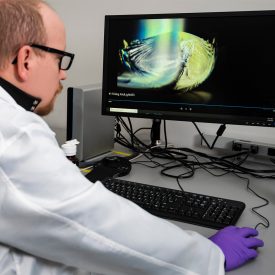 Scientist working on computer