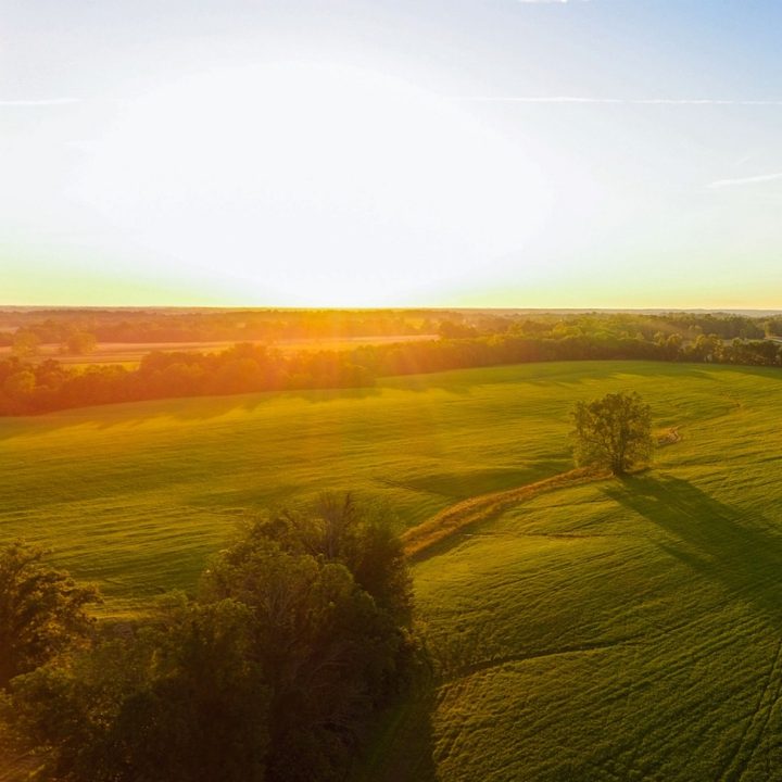 sun shining on green field