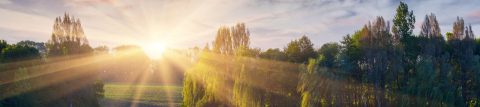 sunset and nature