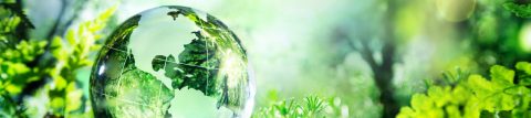 Sustainability