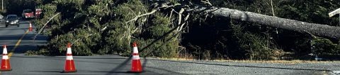 Disaster-Ready Networks: Building Broadband Resilience