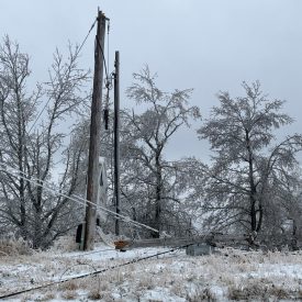 Environmental Damage