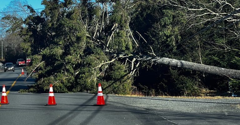 Disaster-Ready Networks: Building Broadband Resilience
