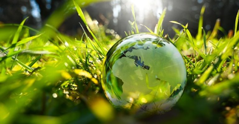 Sustainability In Action