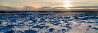 A Polar Adventure near the Arctic Tundra