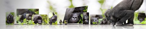 Tipos de Gorilla Glass: CORNING® GORILLA® GLASS VICTUS®