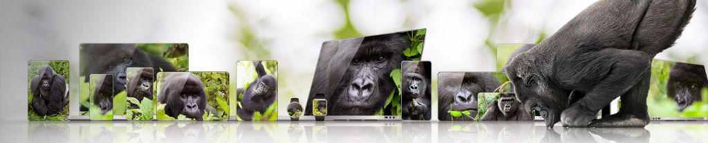 Gorilla Glass 6 Superior Resistance To Damage From Phone Drops Corning Gorilla Glass