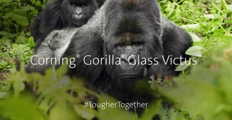 Gorilla Glass Victus