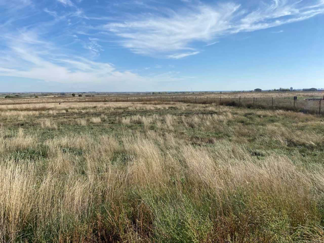 Prairie in Vonda, Saskatchewan