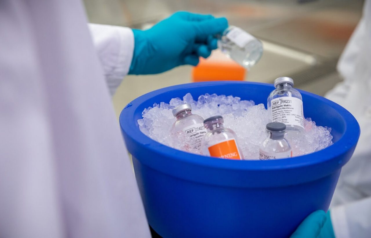 Matrix media in bucket of ice