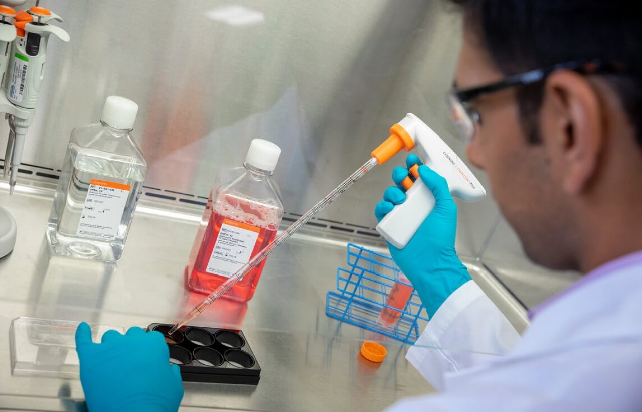 Scientist looking at matrix in vacuum cupboard