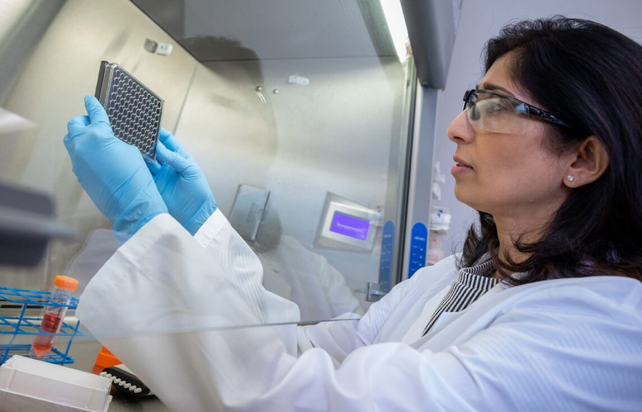 Scientist looking at matrix in vacuum cupboard