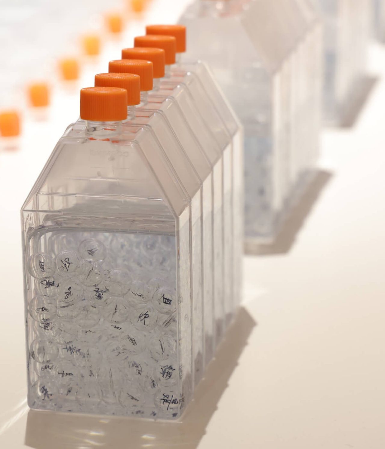 A group of six clear plastic bottles with orange caps. Each contains pieces of deconstructed poem etched onto glass beads. There are many of the beads in the bottle.