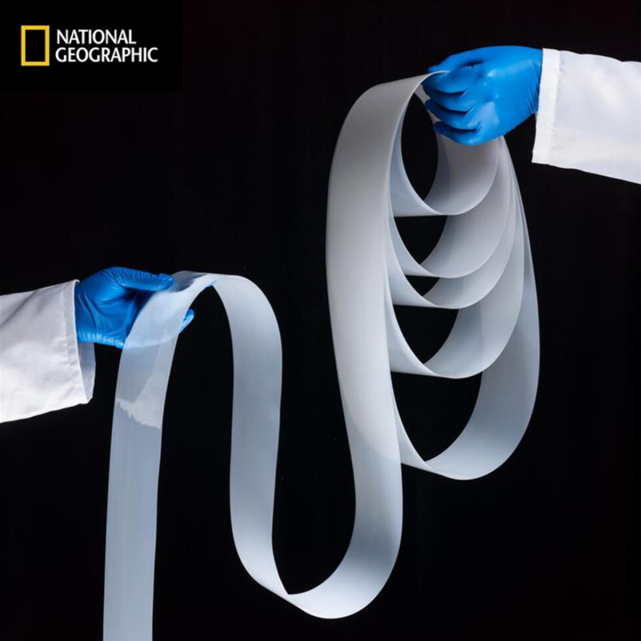 National Geographic Ribbon Ceramics